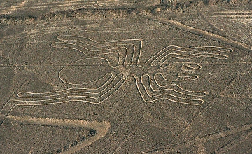 Tour Líneas de Nazca desde Nazca y Oasis de Huacachina desde Lima
