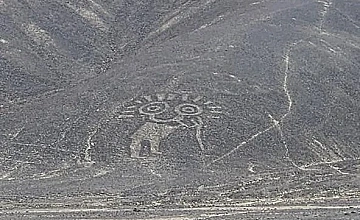 Nasca – Necrópolis de Chauchilla – Sobrevuelo Líneas de Nasca desde Aeródromo de Nasca – Viaje a Arequipa (Desayuno y Almuerzo)