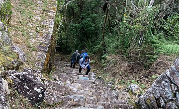 Ollantaytambo – Km 104 – Chachabamba – Wiñayhuayna – Puerta del Sol o Intipunku – Machupicchu – Aguas calientes (Box lunch)