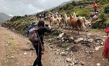 Huacawasi – Patacancha (Desayuno, Almuerzo, Te de la Tarde y Cena)