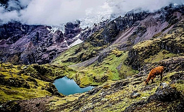Huacawasi – Patacancha (Desayuno, Almuerzo, Te de la Tarde y Cena)