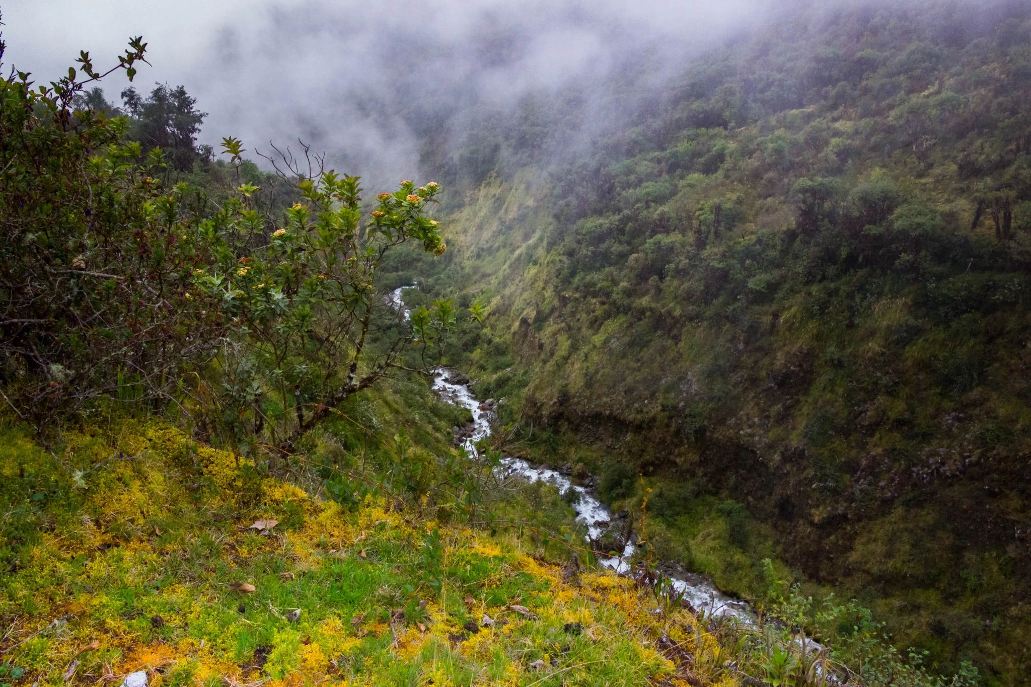 Caminata a Choquequirao - Ciudad perdida